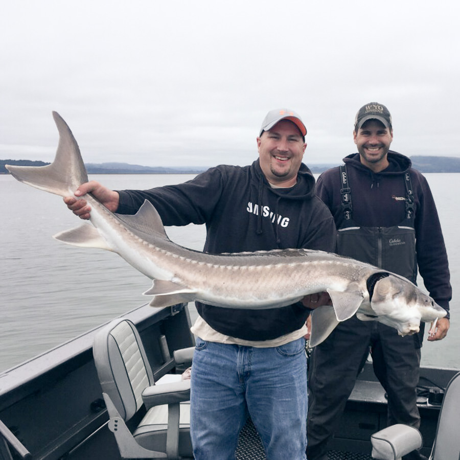 Man and his friend hold up a monster sturgeon caught on the Columbia River with Oregon fishing guide, Mike Hazen