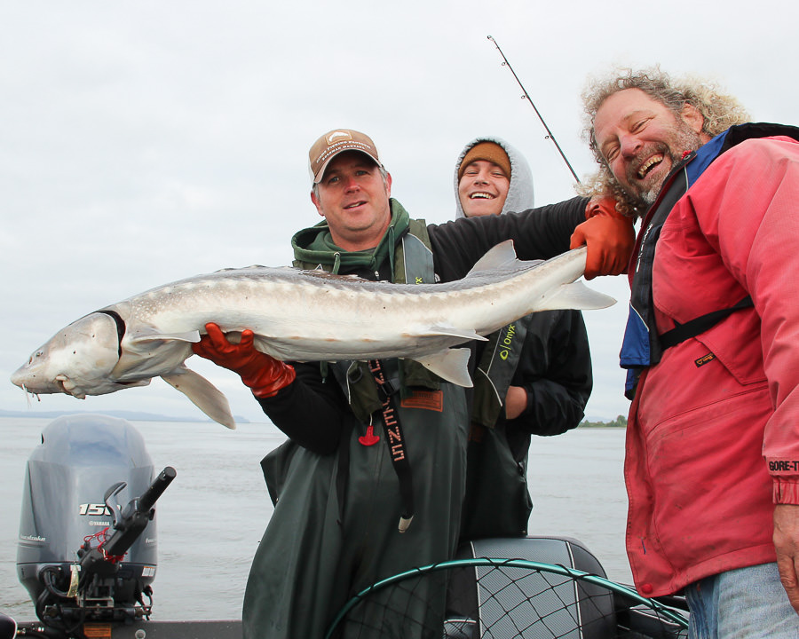 Columbia River sturgeon fishing guide holds up a sturgeon with his customers
