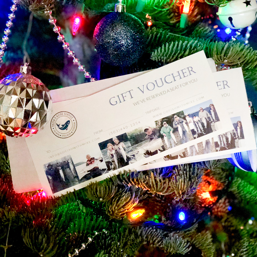 Close-up of two gift vouchers nestled among the branches of a decorated Christmas tree. The vouchers display the text "Gift Voucher" and an image strip featuring people in outdoor winter gear. The tree is adorned with various ornaments, including a shiny silver bauble. Ideal for gifting an Airbnb stay on Puget Island, Washington.