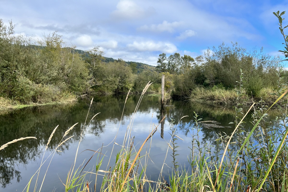 Backyard views of the Columbia River slough on a fishing lodge property in Cathlamet Washington